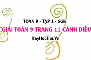 Giải Toán 9 trang 11 tập 1 Cánh Diều SGK
